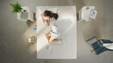 WHY DO WE DREAM WHEN WE SLEEP? WHY DO WE DREAM WHEN WE SLEEP?