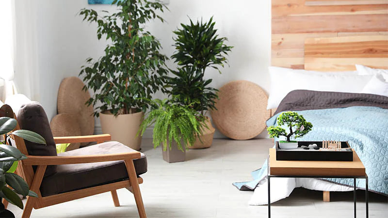 18 FENG SHUI BEDROOM TIPS - OUR DOS & DONT'S